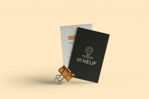 Identité graphique Axineuf