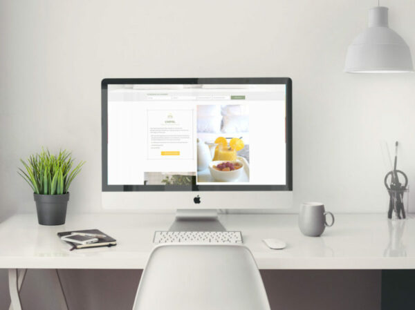 Identité graphique et webdesign