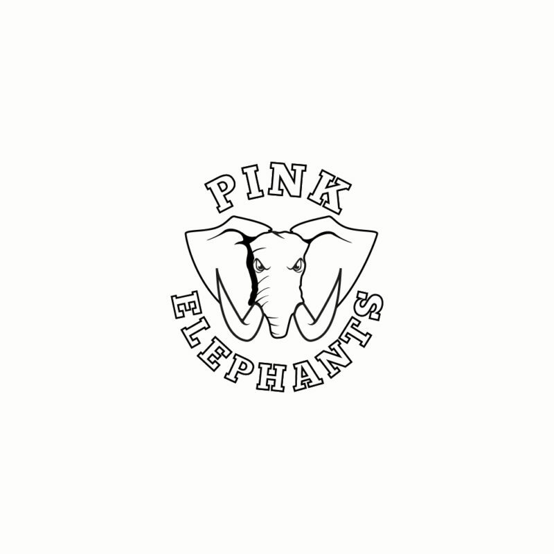Logo et maillots– équipe Pink Elephants