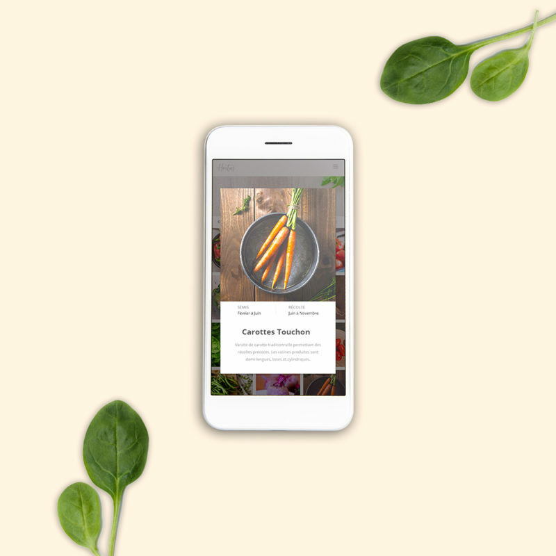 Projet personnel– Hortus App –