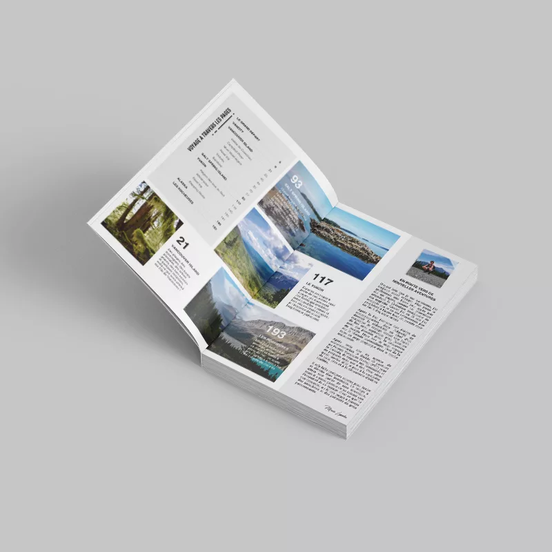 Projet de livre