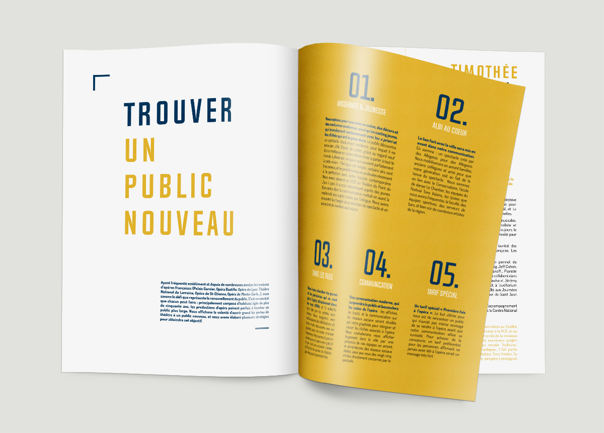 graphisme et mise en page d'une plaquette commerciale pour un complexe immobilier à toulouse