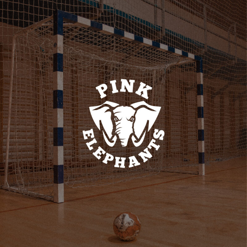 Logo et maillots– équipe Pink Elephants